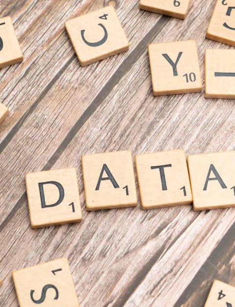 data governance framework